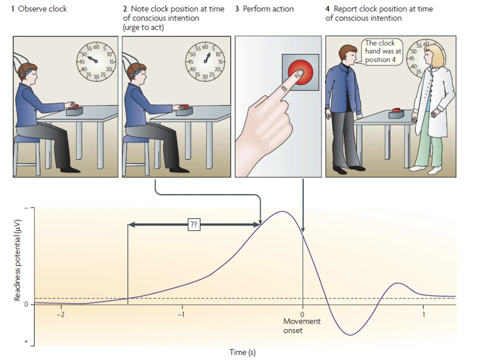 Libet’s most famous experiment. Original figure from Haggard, 2008.