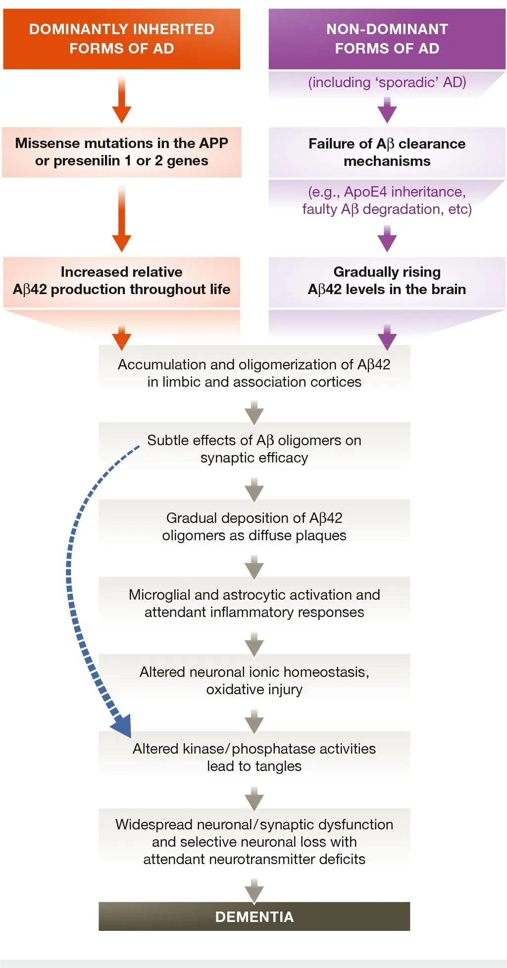 Chain of major pathogenic developments leading to Alzheimer's, according to the amyloid cascade hypothesis. The blue arrow underlines the fact that oligomers are now thought to have direct effects on neurites’ damage. Original figure from Selkoe & Hardy, 2016.
