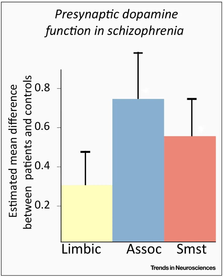 PET-derived measures of difference in presynaptic dopamine function between schizophrenia patients and controls in different functional areas of the striatum. Abbreviations: Assoc = associative, Smst = somatosensory. Results and figure from a meta-analysis by McCutcheon, Abi-Dargham and Howes (2019).