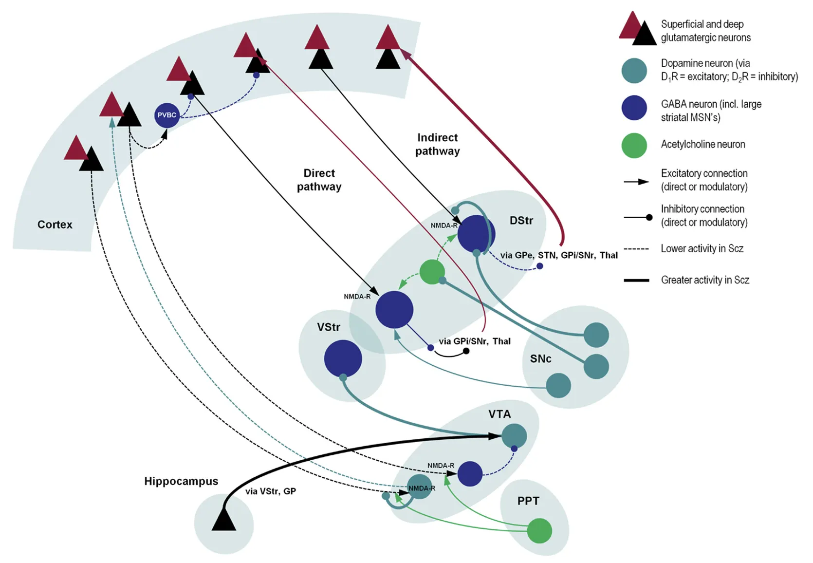 Schematisation of the putative dysfunctional interactions in the brain affected by Schizophrenia, emphasising neuromodulatory processes. Fundamental mechanisms include: 1. Decreased prefrontal NMDA-R function that may, in turn, affect dopamine projections back to the cortex and activity of PV-containing interneurons in the cortex. 2. Increased dopamine release from the SN results in more dopamine in the DStr, where it disinhibits the indirect pathway (through effects on MSN but also through indirect effects on cholinergic neurons). 3. (not discussed in the main text) Increased hippocampal output to the VTA leading to abnormal dopamine levels in the VStr. Abbreviations: PPT, pedunculopontine tegmental nucleus; VTA, ventral tegmental area; VStr, ventral striatum; DStr, dorsal striatum; SNc/r, substantia nigra pars compacta/reticulata; GP, globus pallidus; Thal, thalamus; STN, subthalamic nucleus; PVBC, parvalbumin-positive basket cell; MSN, medium spiny neuron. Original figure and partially adapted caption from Adams et al. (2013).