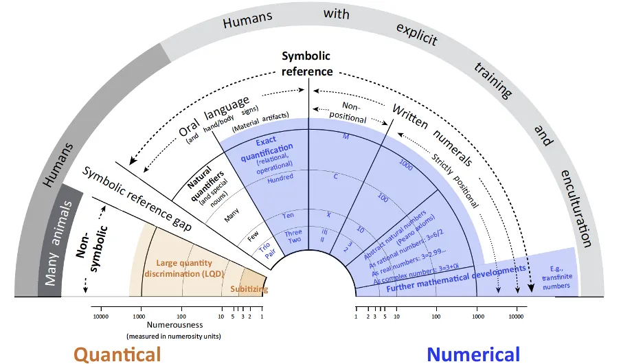 The proposed difference between quantical and numerical cognition. The orange sector represents the innate and phylogenetically widespread sense of magnitude, which Núñez (2017) proposed should be called quantical cognition, because it is pre-linguistic, manifests spontaneously and does not properly deal with numbers. Clockwise from this after the symbolic reference gap we find the natural quantifiers used by non-industrialised cultures (Pica et al., 2004). Further on, with the appearance of exact quantification of arbitrarily large set (i.e., numbers) we have numerical cognition proper in the blue sector, depending on training, enculturation, material artifacts and technology. Note how going clockwise numerical cognition can become increasingly complex. Importantly, developments of numerical cognition rely on cultural evolution, and are therefore largely outside natural selection, unlike quantical cognition. Original figure and adapted caption from Núñez, 2017.